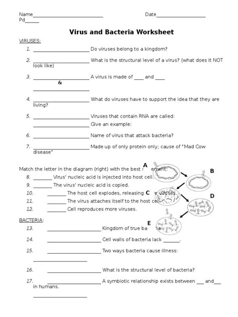 virus and bacteria worksheet pdf answer key